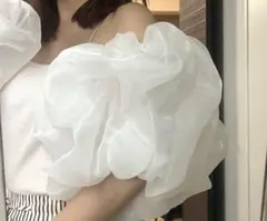 【即購入OK】パフスリーブ ホワイト 付け袖