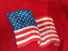 ビンテージティシャツFaded Glory Tシャツ アメリカ国旗 2012美品のサムネイル