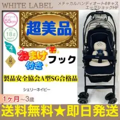 Item thumbnail for item 70287fff-3871-4d50-b086-82193d1099fd