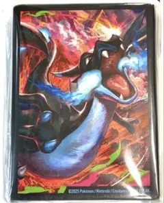 ポケモンカード 海外限定 メガリザードンX スリーブ 65枚 デッキ