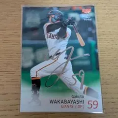 29枚限定！　ルーキーサイン　西武ライオンズ　若林楽人　直筆サインカード 29枚限定！ ルーキーサイン 西武ライオンズ 若林楽人 直筆サインカード