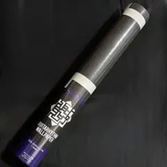 Item thumbnail for item 02c0a181-bb70-463d-a5c0-e1ce2002c368