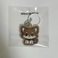 ØMI 登坂広臣 INFINITY MOON めじるしチャーム Mate