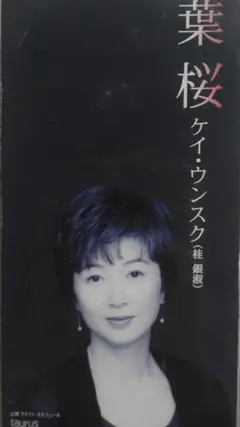 sample版ケイ・ウンスク 葉桜