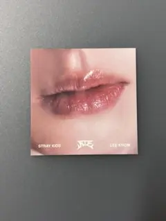 straykids スキズ ATE リノ リップカード