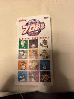 カルビー プロ野球チップス 2009 カードホルダー カードセット
