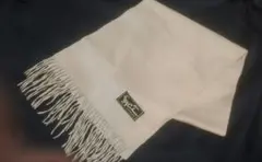 Item thumbnail for item 192e89bd-15c1-427a-a23d-65ecff10a81f