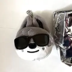 Stray Kids フェイスキーリング バンチャン RUN IT ウルフチャン