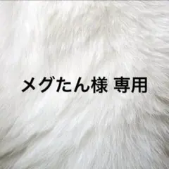 メグたん様 専用