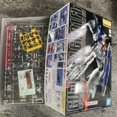 MG 1/100ガンダム GP01Fb フルバーニアン Ez8 2点セット - メルカリ