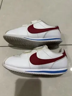 Item thumbnail for item 44d6e788-24f9-4c43-9b59-c2eabf30462c