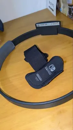 Nintendo Switch リングコン レッグバンド セット