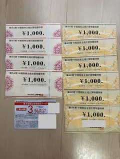 ビックカメラ　コジマ　株主様お買物優待券 10,000円分
