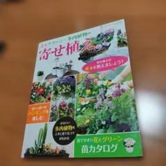 花とグリーン・多肉植物の寄せ植え