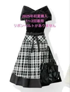 1〜2回着 2025年購入 エムズグレイシー スカート 38