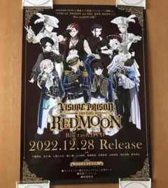 ヴィジュアルプリズン　告知用ポスター　B２