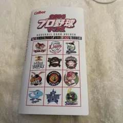 Calbee 2014 プロ野球カードホルダー