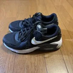 Nike エアマックス エクシー