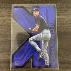 ランディジョンソン　ヤンキース　ピンストライプフィギュア ランディジョンソン ヤンキース ピンストライプフィギュア ランディ