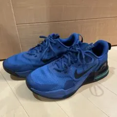 ナイキ AIR MAX ALPHA TRAINER5 DM0829 25cm