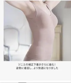 ジニエグラマーシェイプスマートフィットLL ジニエグラマーシェイププレミアム 2枚セット 通販【ニッセン】