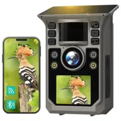 Item thumbnail for item 47afbde6-267d-48e1-91bd-f7dc2ff5f741