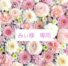 みぃ様専用 リクエスト 3点 まとめ商品