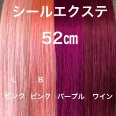 Item thumbnail for item 6e384a04-0697-4564-a1b1-6ffa1536e481