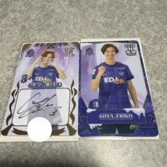 Item thumbnail for item dbc6cf57-2588-4ad6-adf4-cb3c89ac6f71