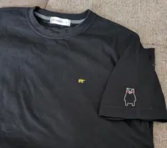 Item thumbnail for item 05364d73-3dfe-491a-b022-f70906698cc7