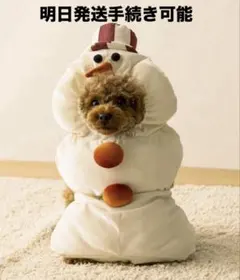 Item thumbnail for item cd107b57-c3e8-41da-952a-8ccb0cf23bd8