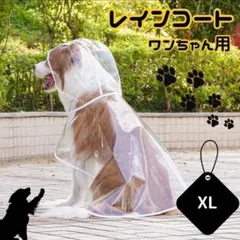 Item thumbnail for item 784f8d89-af6f-48dc-8ee5-af62fc48ef5e