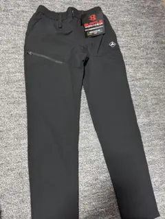 Item thumbnail for item 4c3c47b7-34c2-40f7-bb0d-39de45583b4b