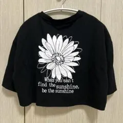 バックプリント クロップド丈 Tシャツ ブラック