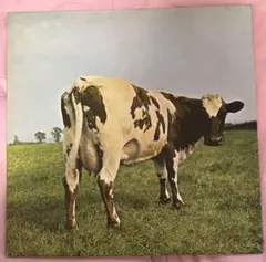 Pink Floyd レコード