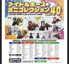アイドルホースvol.40(ミアネーロ)