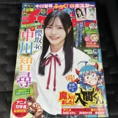 ジャンプ、マガジン、チャンピオン、サンデーセット売り14冊 ジャンプ、マガジン、チャンピオン、サンデーセット売り14冊