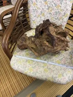 一点物｜白蛇モチーフ流木インテリアウォールデコ ​ - メルカリ
