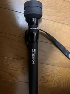 Item thumbnail for item 8444d332-fa27-452a-b978-927efe726ed5