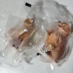 モザイヌ2 ゴールデンレトリバー　2個セット