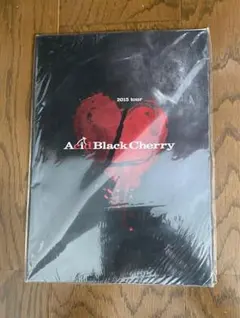 Acid Black Cherry PHOTOBOOK 1st Season - メルカリ
