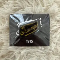 【限定品】【トライアンフ】オリジナルピンバッジ1915のサムネイル