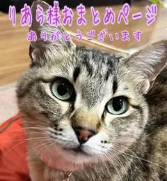 りあら様おまとめページ