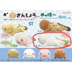 オーさんしょうさん やっほーVMCコンプリート オオサンショウウオ