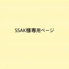SSAK様専用ページバッグインバッグインナーバッグ