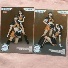 BBM チアリーダー 2026 GIANTS VENUS インサート