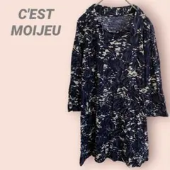 Item thumbnail for item 1fe61bec-d55b-437f-bb80-199352f1a538