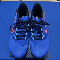 2026年最新】nIke AIR zoom pegasus 41の人気アイテム - メルカリ