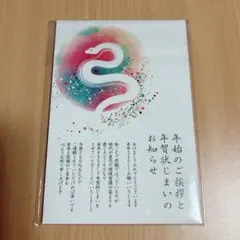 年賀状じまい2025 新年お知らせ 私製10枚入り