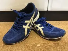 【アシックス TARTHERZEAL 4（ターサージール4） 】 26.0cm